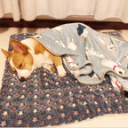 Gary’s Comfort Blanket (Handmade ❤️🐾)